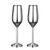 Stainless Steel Champagne Glasses 2-Pack - 200ml Durable Shatterproof Flutes