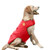 Dog Jackets