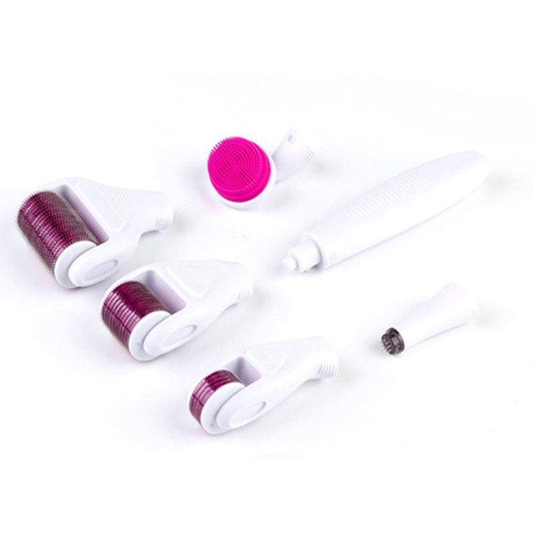 6 in 1 Derma Roller Set 