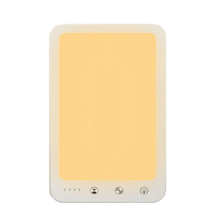Light Therapy Lamp - 10000 Lux Natural Daylight Simulation with Adjustable Brightness Timer & USB-C Power Bank