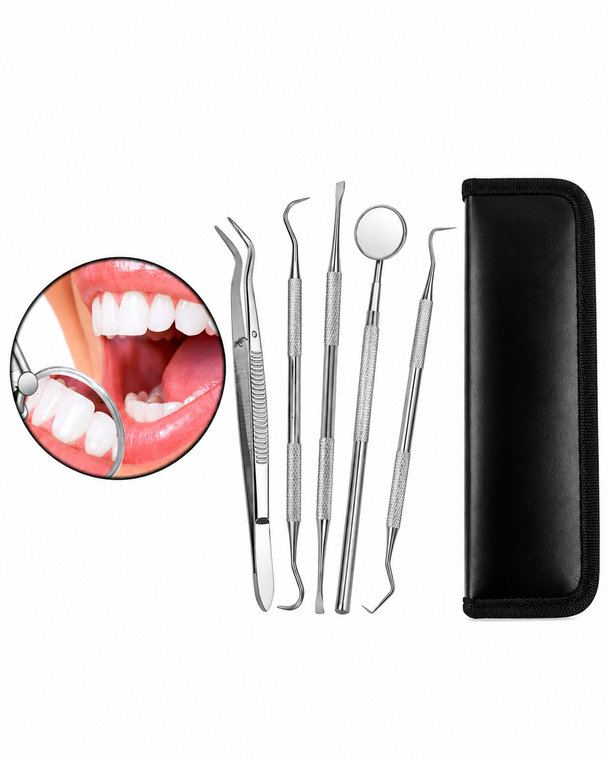Metal Toothpick - Reusable Tooth Clean Holder Pocket 5 Pcs Set