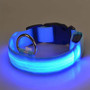 Dog Collar with LED  Lights