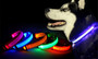 Dog Collar with LED  Lights