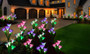 Solar Lights Outdoor - Solar Garden Lights, Multi-Color Changing Lily Solar Flower Lights for Patio, Yard Decoration Pack of 8