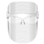 3 Colour LED Facial Skin Care Mask