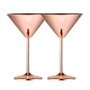 Stainless Steel Martini Glasses - 2packs
