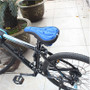 Bike Seats