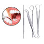 ICB Dental Tools Kit 5 Pcs Oral Care Dental Pick Hygiene Set