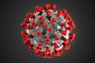 COVID-19 Contingency Plan Update