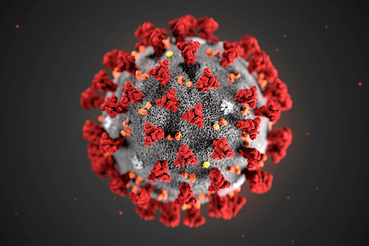 COVID-19 Contingency Plan Update