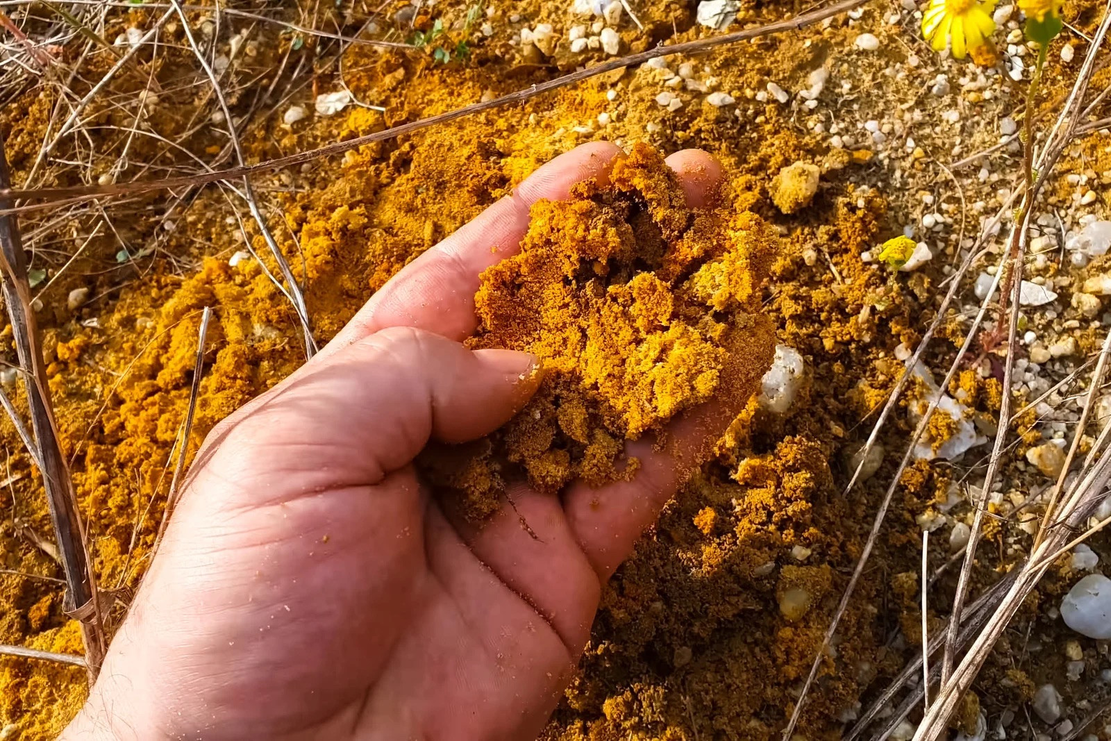 Conquering High Total Dissolved Solids (TDS) Matrices: How Custom Certified Reference Materials (CRMs) Improve ICP-OES and ICP-MS Performance in Mining Labs