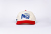 AMERICA 250 Hat