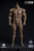 1/6 Scale Durable Body (AT030) by WorldBox