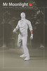 S-HERO (SH002) 1/6 Scale Mr Light Figure