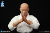 DID (SF80001) 1/12 Scale The Karate Player Figure