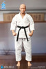 DID (SF80001) 1/12 Scale The Karate Player Figure