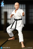 DID (SF80001) 1/12 Scale The Karate Player Figure