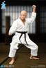 DID (SF80001) 1/12 Scale The Karate Player Figure