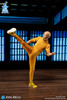 DID (SF80002) 1/12 Scale The Kung Fu Master Figure