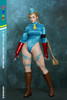 Play Toy (PT-P020B) 1/6 Scale Fighting Female Warrior Figure (Blue Version)