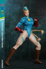 Play Toy (PT-P020B) 1/6 Scale Fighting Female Warrior Figure (Blue Version)
