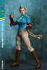 Play Toy (PT-P020B) 1/6 Scale Fighting Female Warrior Figure (Blue Version)