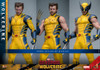 Hot Toys (MMS754) 1/6 Scale Deadpool & Wolverine - Wolverine (Deluxe Version)