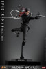 Hot Toys (MMS727) 1/6 Scale Spider-Man 3 - Spider-Man (Black Suit) Figure