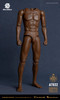 Worldbox (AT032) 1/6 Scale Crazy Durable Body