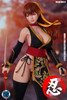 Super Duck Toys (SET094-C) 1/6 Scale Sexy Female Ninja Figure (Black Outfit Version)