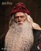 INART (A032D1) 1/6 Scale Harry Potter and the Chamber of Secrets - Albus Dumbledore Figure (Deluxe Version)