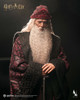 INART (A032P1) 1/6 Scale Harry Potter and the Chamber of Secrets - Albus Dumbledore Figure (Premium Version)