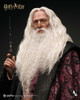 INART (A032P1) 1/6 Scale Harry Potter and the Chamber of Secrets - Albus Dumbledore Figure (Premium Version)