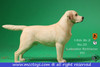 1/6 Scale Labrador Retriever Figure (4 Colors) by Mr.Z