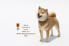 1/6 Scale Japanese Shiba Inu Figure (3 Colors) by Mr.Z