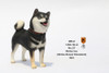 1/6 Scale Japanese Shiba Inu Figure (3 Colors) by Mr.Z