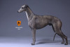 1/6 Scale Greyhound Dog Figure (6 Colors) by Mr.Z