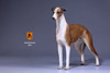 1/6 Scale Greyhound Dog Figure (6 Colors) by Mr.Z
