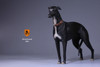 1/6 Scale Greyhound Dog Figure (6 Colors) by Mr.Z