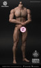 1/6 Scale Durable Male Body - Ripped (AT027) by Worldbox