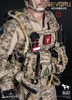 1/6 Scale DEVGRU K9-handler in Afghanistan Figure by DamToys