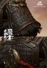 1/6 Scale Soul Of Tiger Generals Zhou Cang Figure (Deluxe Version) by In Flames Toys X Newsoul Toys