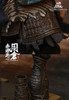 1/6 Scale Soul Of Tiger Generals Zhou Cang Figure (Deluxe Version) by In Flames Toys X Newsoul Toys