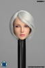 1/6 Scale Female Head Sculpt with Movable Eyes (3 Hair Styles) [SUD-DX01] by Super Duck Toys