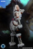 1/6 Scale Swordswoman Kirin Head Sculpt & Outfit Set by Super Duck Toys
