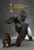 1/6 Scale Black Gorilla Beringei Graueri Figure by Mr.Z