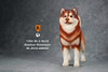 1/6 Scale Alaskan Malamute Dog Figure (3 Colors) by Mr.Z