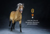 1/6 Scale Mongolica Horse Figure (5 Colors) by Mr.Z