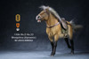 1/6 Scale Mongolica Horse Figure (5 Colors) by Mr.Z