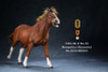 1/6 Scale Mongolica Horse Figure (5 Colors) by Mr.Z